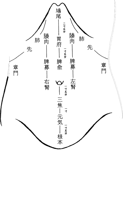 艾绒艾灸麦粒灸米粒灸