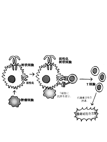 艾绒艾灸麦粒灸米粒灸